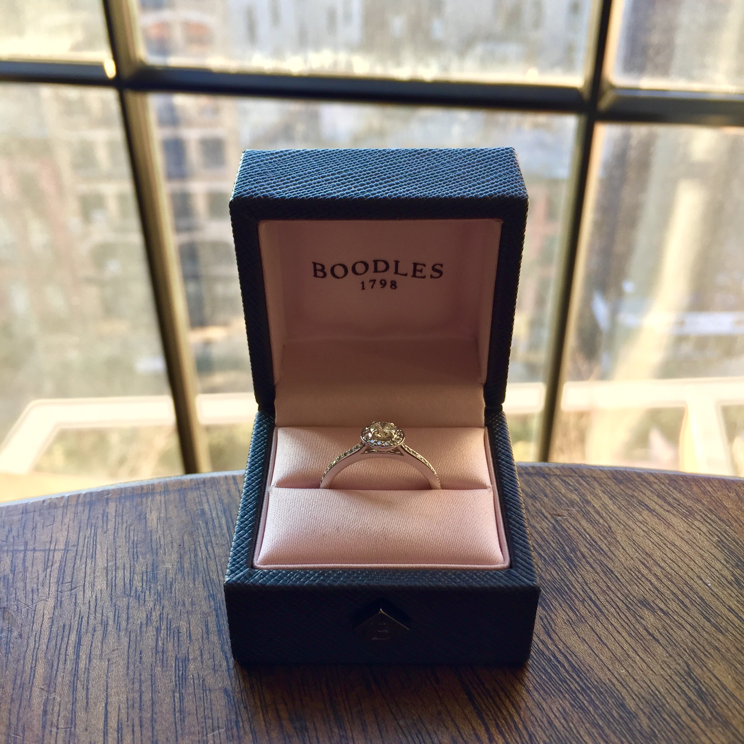 "Would you do me the honour of having me as your husband?" - New Year's Day 2017 in New York City, USA